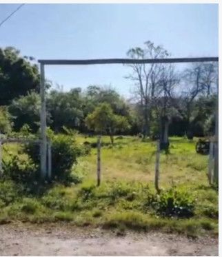 Terreno - Venda - Diácono João Luiz Pozzobon - Santa Maria - RS