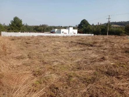 Terreno - Venda - Di�cono Jo�o Luiz Pozzobon - Santa Maria - RS